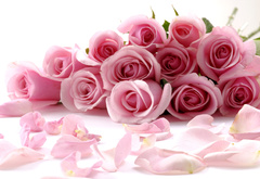 свадьба, праздник, цветы, букет, розы, розовый