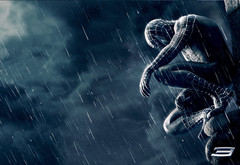 spider man, , , -, , , 