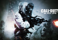 Call of Duty Black Ops, зима, COD, оружие, зимний камуфляж