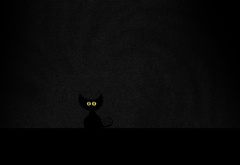кот, кошка, котэ, чёрный, глаза, ночь, темнота, котёнок, котенок