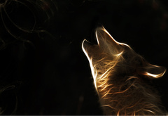 волк, свет, лучи, фотошоп