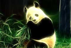 панда, свет, лучи, фотошоп