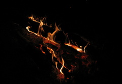 костер, огонь, пламя