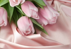 тюльпаны, скатерть, ткань, шёлк, розовый
