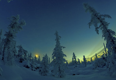 природа, зима, снег, ночь, звезды