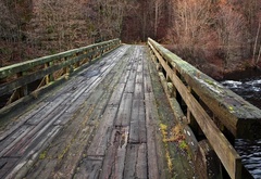 деревянный, мост, река