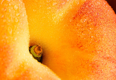 фрукт, персик
