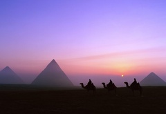 египет, закат, верблюды