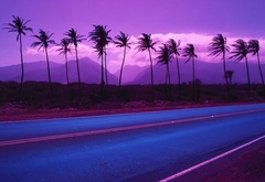 пальмы, дорога, горы