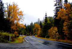 осень, дорога после дождя
