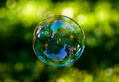 пузырь, отражение, трава, деревья