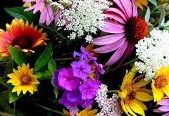 цветы, букет, краски