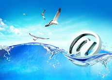 чайки, море, e-mail