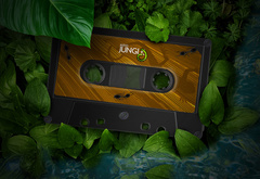 кассета, джунгли, листья