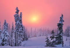 зима, закат, солнце
