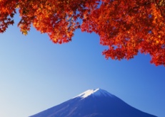 гора, япония, листва