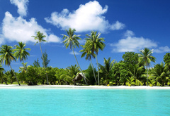 тропики, пальмы, тропический остров, море, пляж, песок