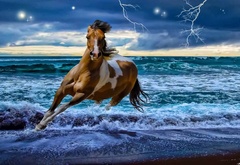 лошадь, конь, молния, море