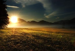 поле, туман, яркое, солнце