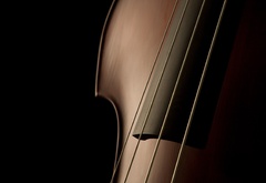 скрипка, струны