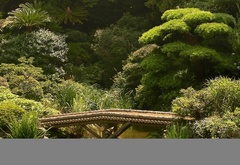 япония, мост, сад, зелень