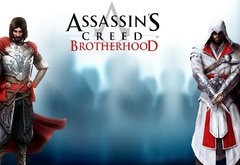 assassins creed, brotherhood