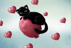 черный кот, сердца, любовь