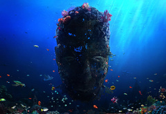 подводная статуя, затонувшая скульптура, кораллы, маска, под водой