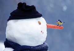 снеговик, морковка, синичка, птица, снег, зима