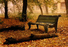 осень, листва, скамья, одиночество