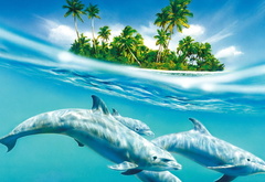 океан, вода, дельфины, волна, остров, пальмы