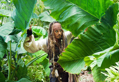джонни депп, джек воробей, пираты карибского моря, джунгли, листва