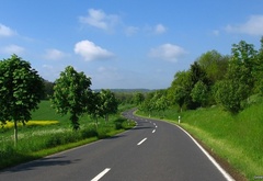 Nature, road, green