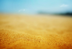 песок, берег, макро