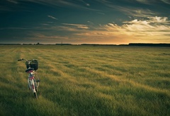 поле, вечер, небо, тучи, велосипед, природа, пейзаж