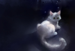 apofiss, рисунок, белая кошка