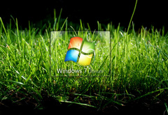 трава, зелень, windows, seven, ultimate, логотип