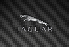 jaguar, , , carbon, , 