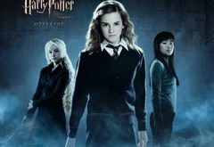 harry potter and the order of the phoenix, harry potter,  ,  ,  ,  