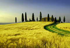 природа, Италия, Тоскана, поля, дорога, небо