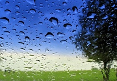 дождь, стекло, дерево, небо