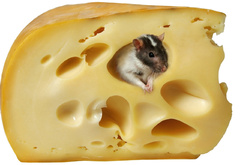 сыр, мышонок, жёлтый