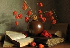 натюрморт, книги, цветы, ваза