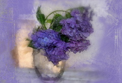 цветы, натюрморт, цвет, ваза