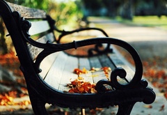 настроение, осень, листья, лавочка, парк
