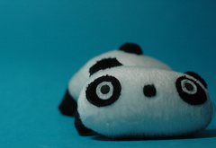 панда, игрушка, лежит