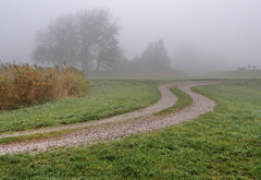 поле, дорога, туман, красота, пейзаж