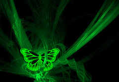 бабочка, неон, черное, зеленый