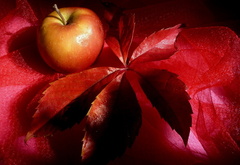 лист, яблоко, натюрморт, цвет