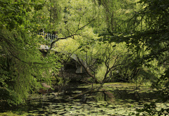 пруд, мост, парк, зелень, лето